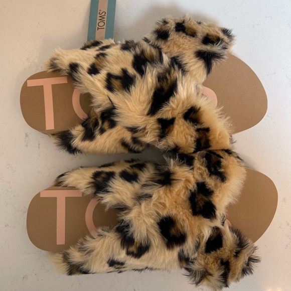 TOMS Slides - Picture 6 of 15